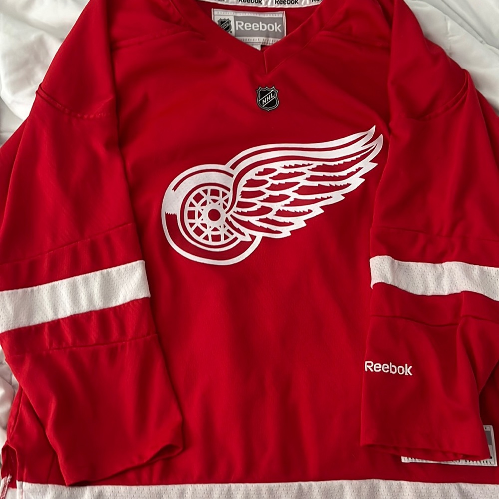Youth Detroit Red Wings jersey, worn once